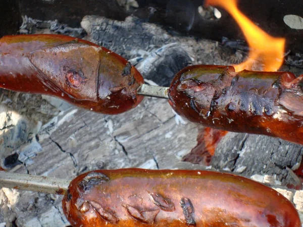 Churrasco de recreação ao ar livre e salsichas em carvão — Fotografia de Stock