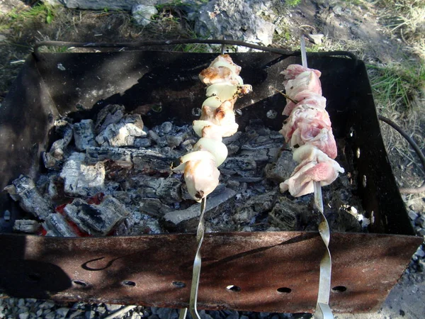 Відкритий відпочинок барбекю і ковбаски на вугіллі — стокове фото