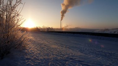 Rusya 'nın kuzeyinde günbatımı ağaçların dalları arasında