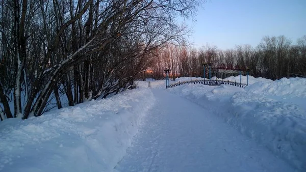 Meleg Napsütéses napok télen Park séta a friss levegőn — Stock Fotó