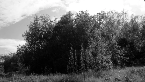 Spor ve eğlence kompleksi 