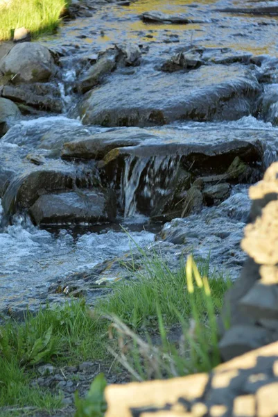 Güneşli yaz günü su. Çerçevede doğal optikler var.