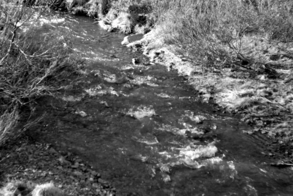 Black and white footage of the tundra landscape manual optics — Stock Photo, Image