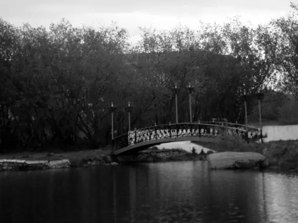Gyalogos híd a tavon keresztül a park ködös nyári napján — Stock Fotó