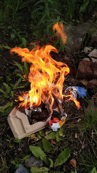 Doğanın yeşil arka planında yanan alevler gevşetici şenlik ateşleri