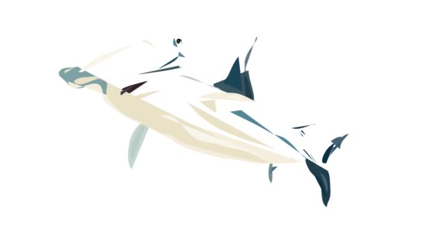 Hammerhead haai pictogram animatie — Stockvideo