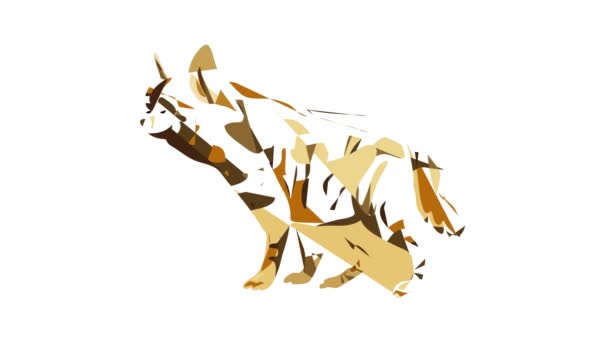 Hyena ikon animáció — Stock videók