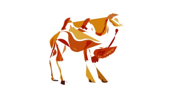 Camel icon animation — Stock Video