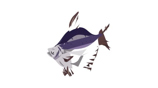 Bluegill fisk ikon animation – Stock-video