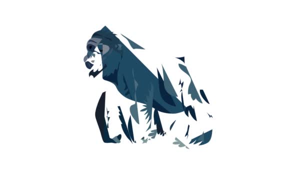 Animazione icona gorilla — Video Stock