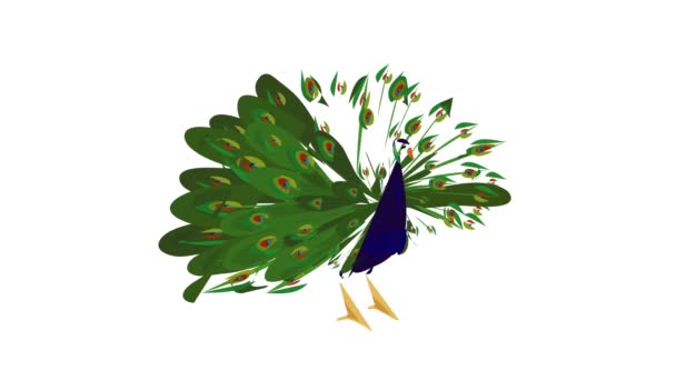 Peacock icon animation — Stock Video