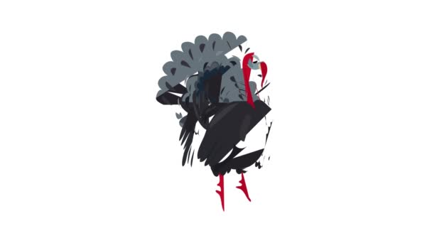 Turkey cock icon animation — Stock Video