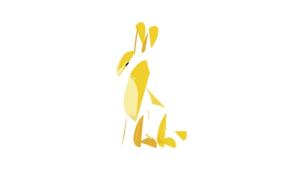 野生ウサギのアイコンアニメーション — ストック動画