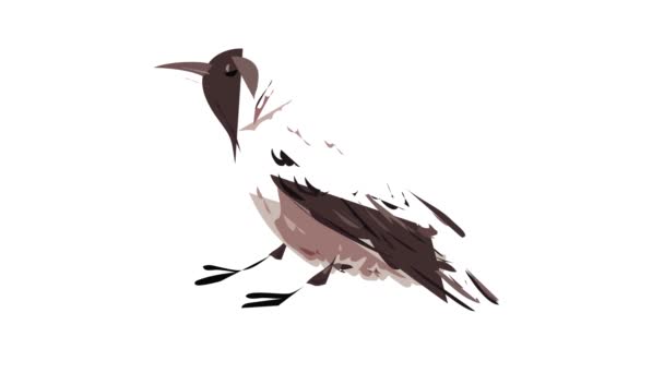 Animation icône corbeau — Video