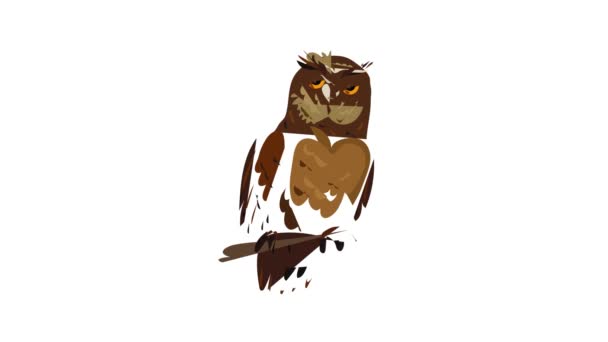Animação ícone coruja — Vídeo de Stock