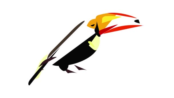 Toucanのアイコンアニメーション — ストック動画