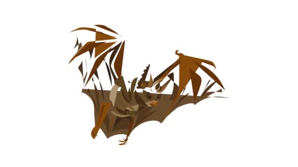 Анімація піктограм дикої кажана — стокове відео