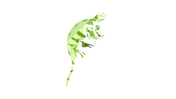 Khameleon reptile icon animation — Stock Video