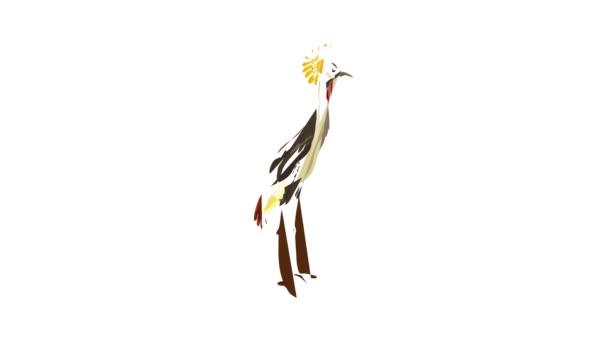 Animation exotischer Vögel — Stockvideo