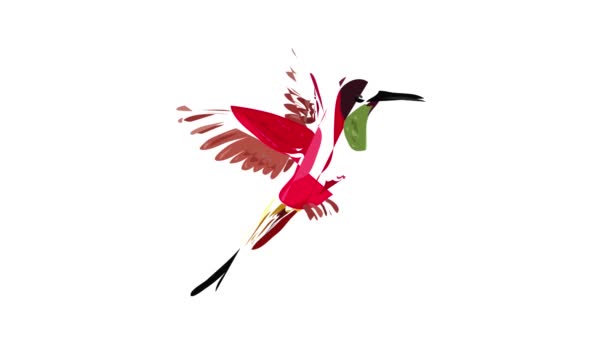 Animace ikon ptáka Colibri — Stock video