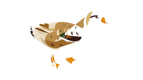 Vahşi ördek simgesi canlandırması — Stok video