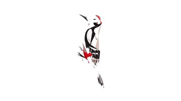 Animação ícone Woodpecker — Vídeo de Stock
