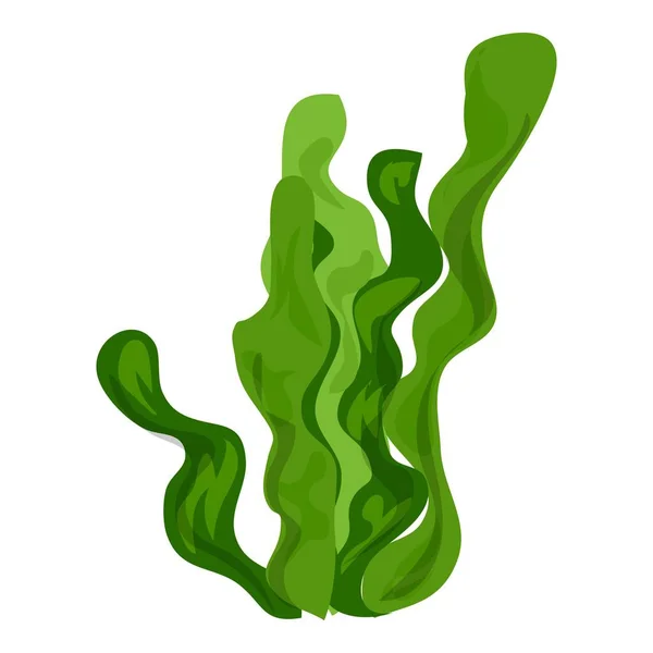 Seaweed icon, cartoon style — Stock Vector