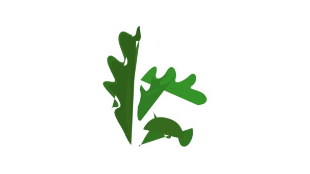 Animace ikon salátu frisee — Stock video