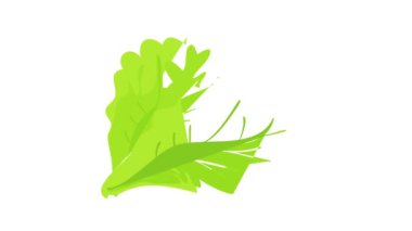 Yeşil marul yaprağı simgesi canlandırması