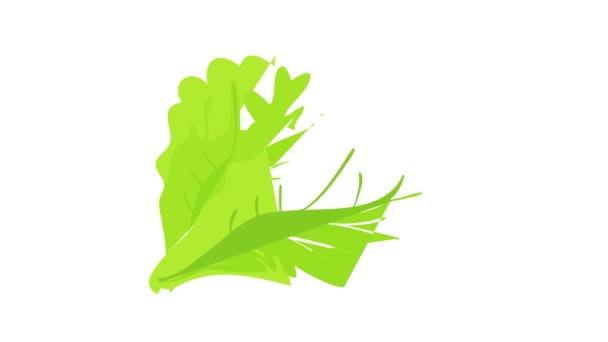 Animación icono de hoja de lechuga verde — Vídeos de Stock