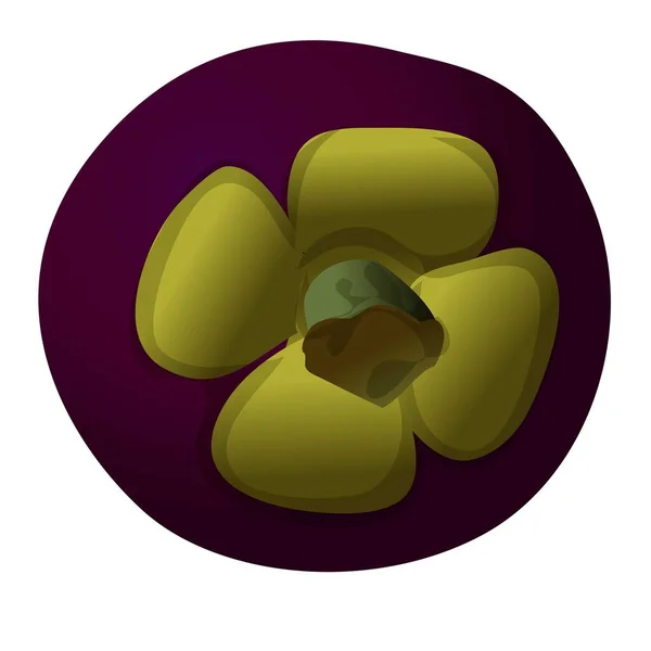 Matura icona mangostano, stile cartone animato — Vettoriale Stock