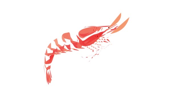 Fresh shrimp icon animation — Stock Video
