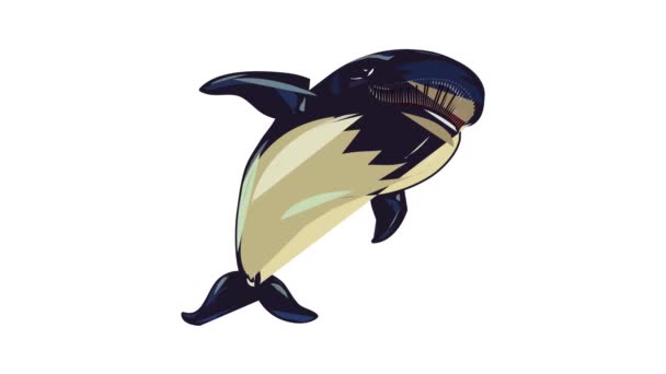 Animacja ikony wieloryba pływającego — Wideo stockowe