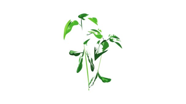 Planta de soja icono de animación — Vídeos de Stock