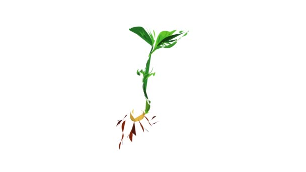 Soybean plant icon animation — Stock Video