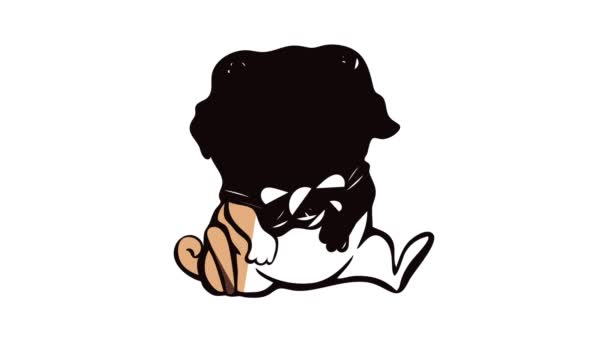Animace ikon Pug narozeniny — Stock video