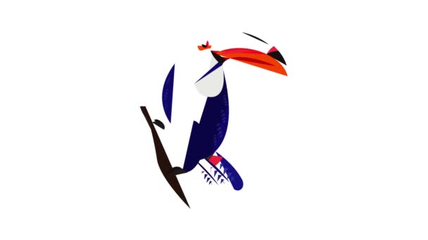 Toucan en la animación icono de árbol — Vídeos de Stock