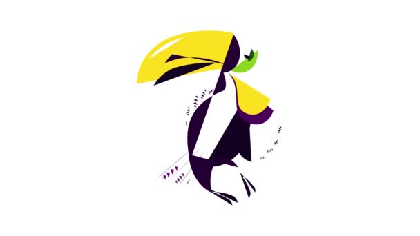 Animation toucan icône colorée — Video