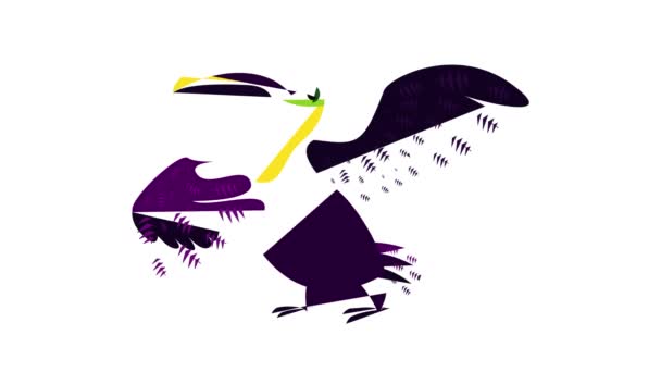 Ballando icona toucan animazione — Video Stock