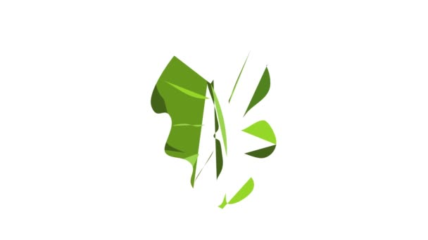 Elephant ear leaf icon animation — Stock Video