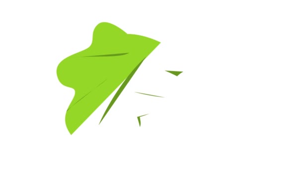 Animacja ikony liści tropikalnych — Wideo stockowe