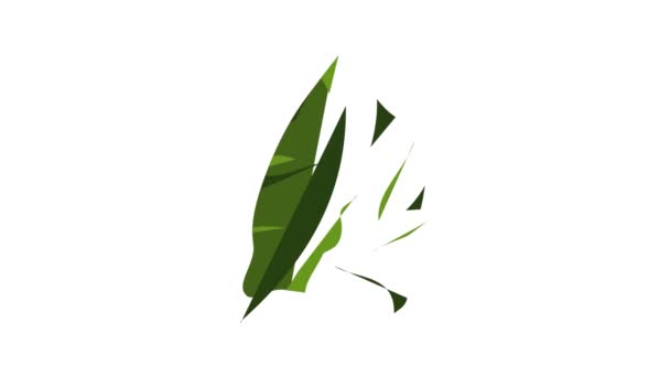 Botaniska tropiska blad ikon animation — Stockvideo