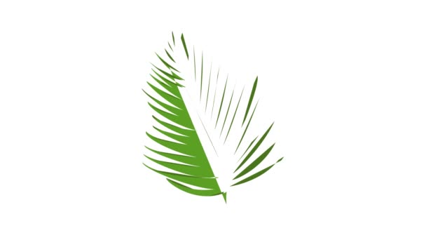 Green palm leaf icon animation — Stock Video