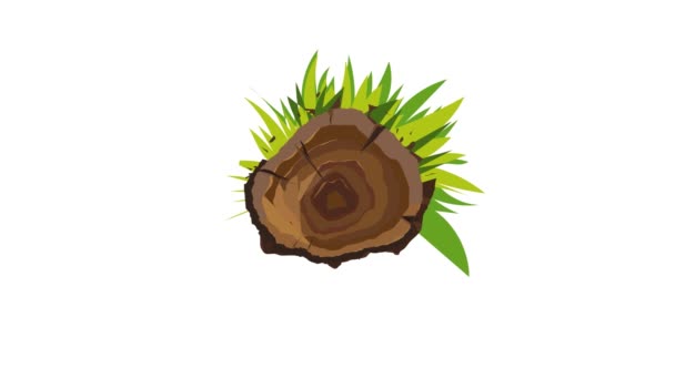 Top view tree stump icon animation — Stock Video