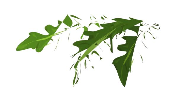 Rucola deja animación icono — Vídeos de Stock