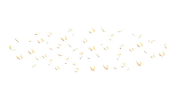 Анімація піктограм бургерів для сезам — стокове відео