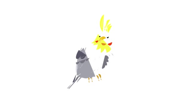 Corella papegaai pictogram animatie — Stockvideo