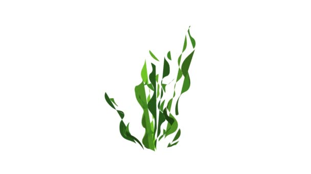 Seaweed ikon animation — Stockvideo