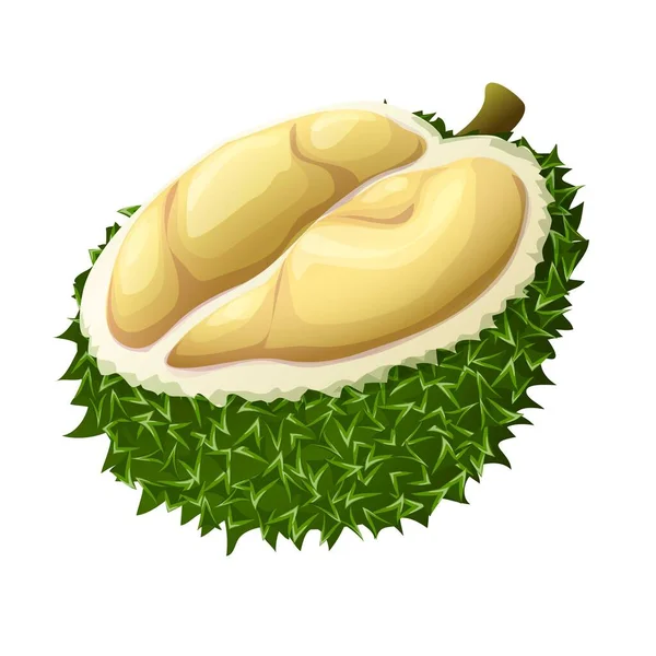 King durian icon, cartoon style — стоковый вектор