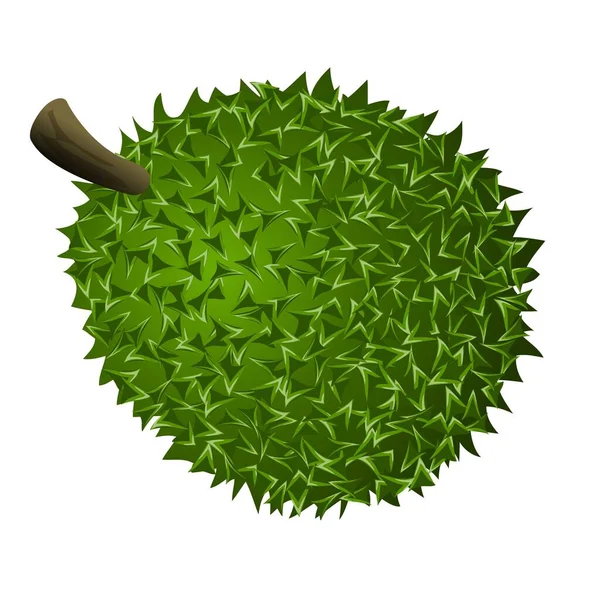 Icono de durian entero, estilo de dibujos animados — Vector de stock